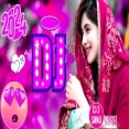 Hindi Love DJ Song 2024   Top DJ Mix  Hard Bass
